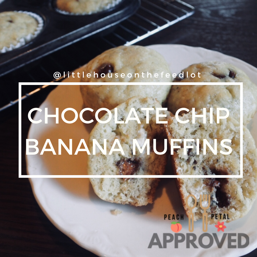 Chocolate Chip Banana Muffins