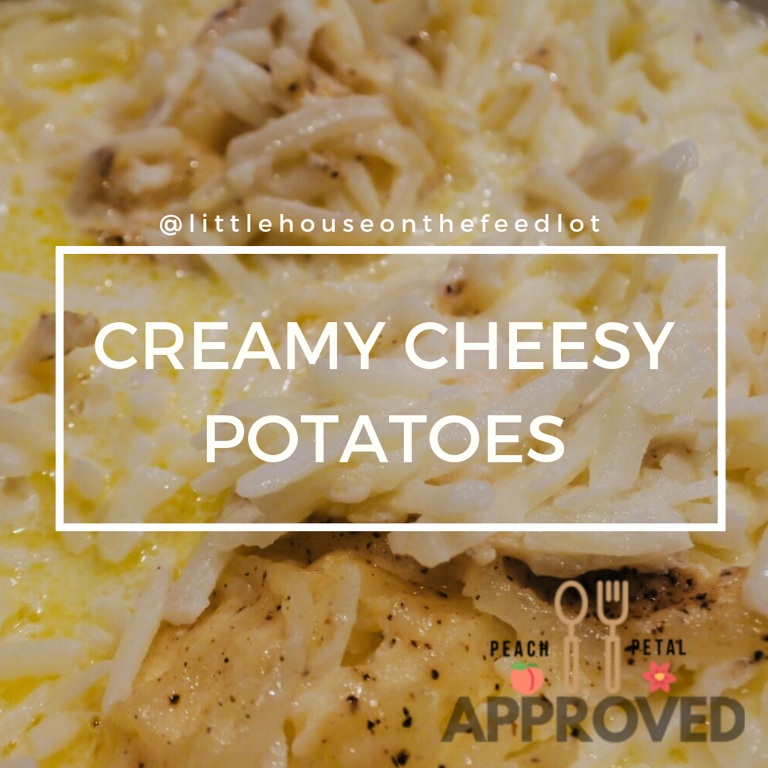 Creamy Cheesy Potatoes