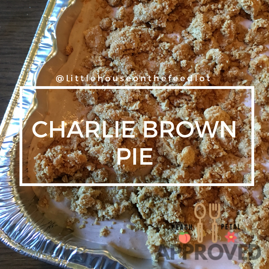 Charlie Brown Pie