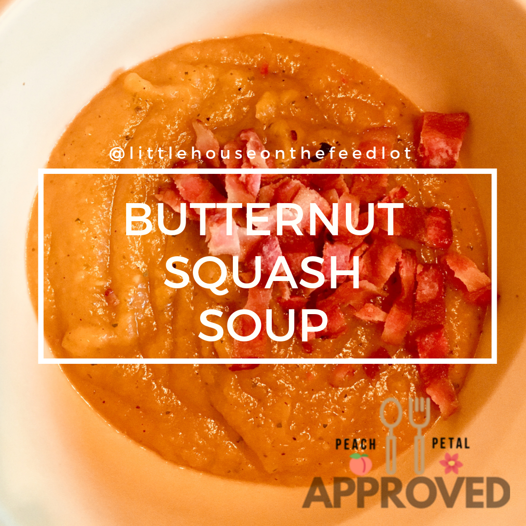 Butternut Squash Soup