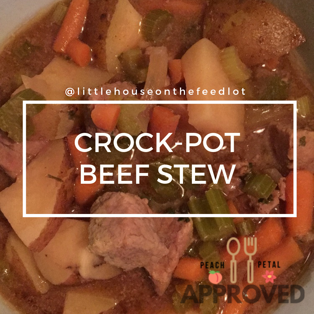 Crockpot Beef Stew 01