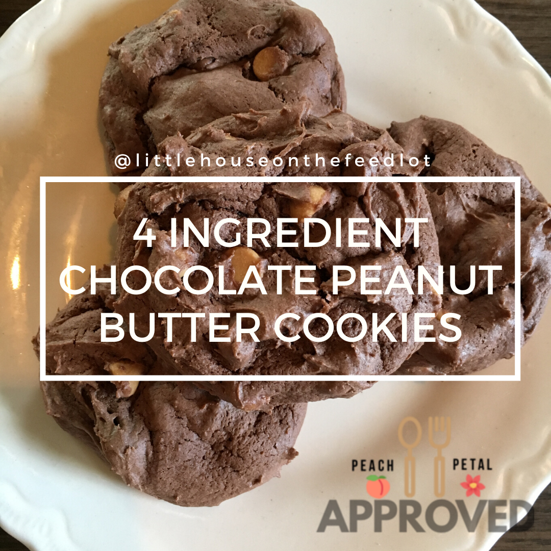 4 Ingredient Chocolate Peanut Butter Cookies