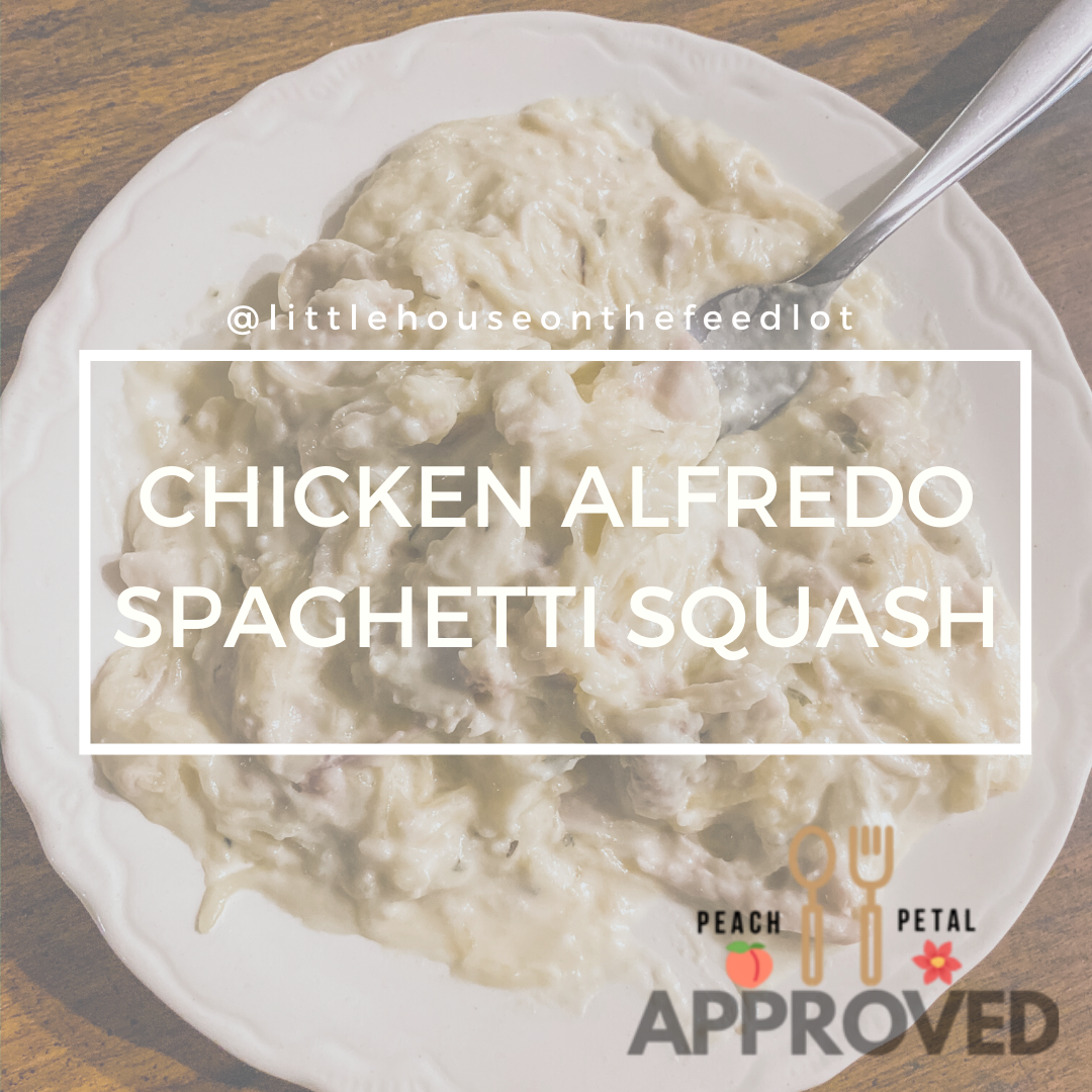 Chicken Alfredo Spaghetti Squash